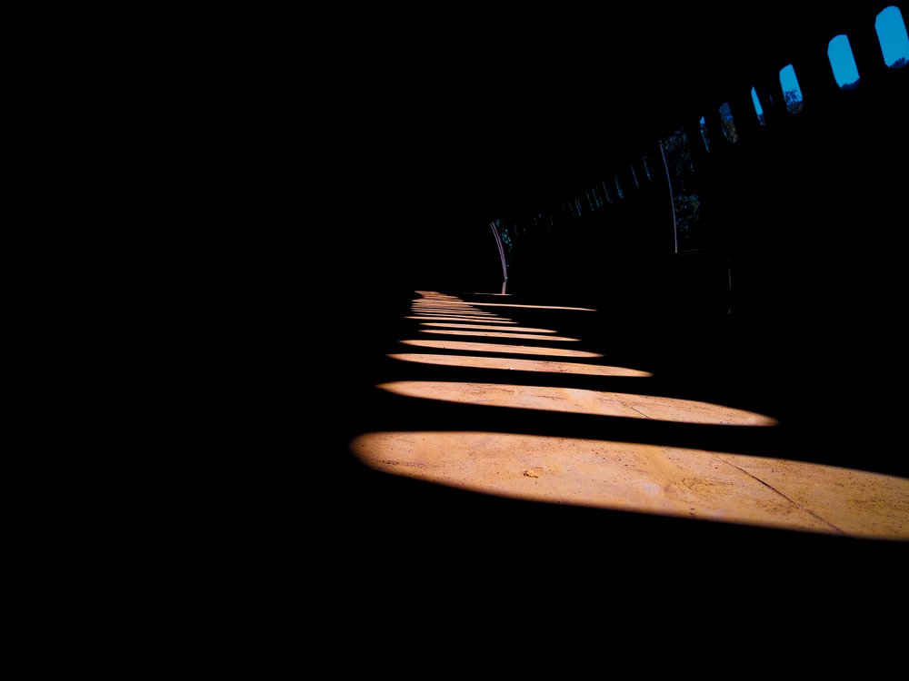 Photograph by Sanil Desemaru