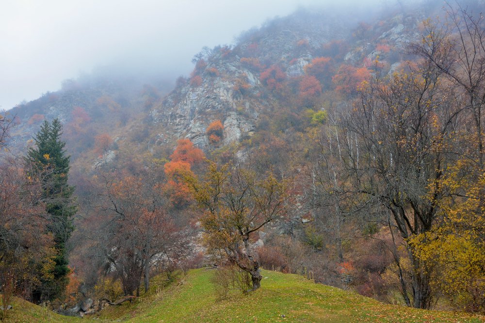 Photograph by Ферзаулин Руслан