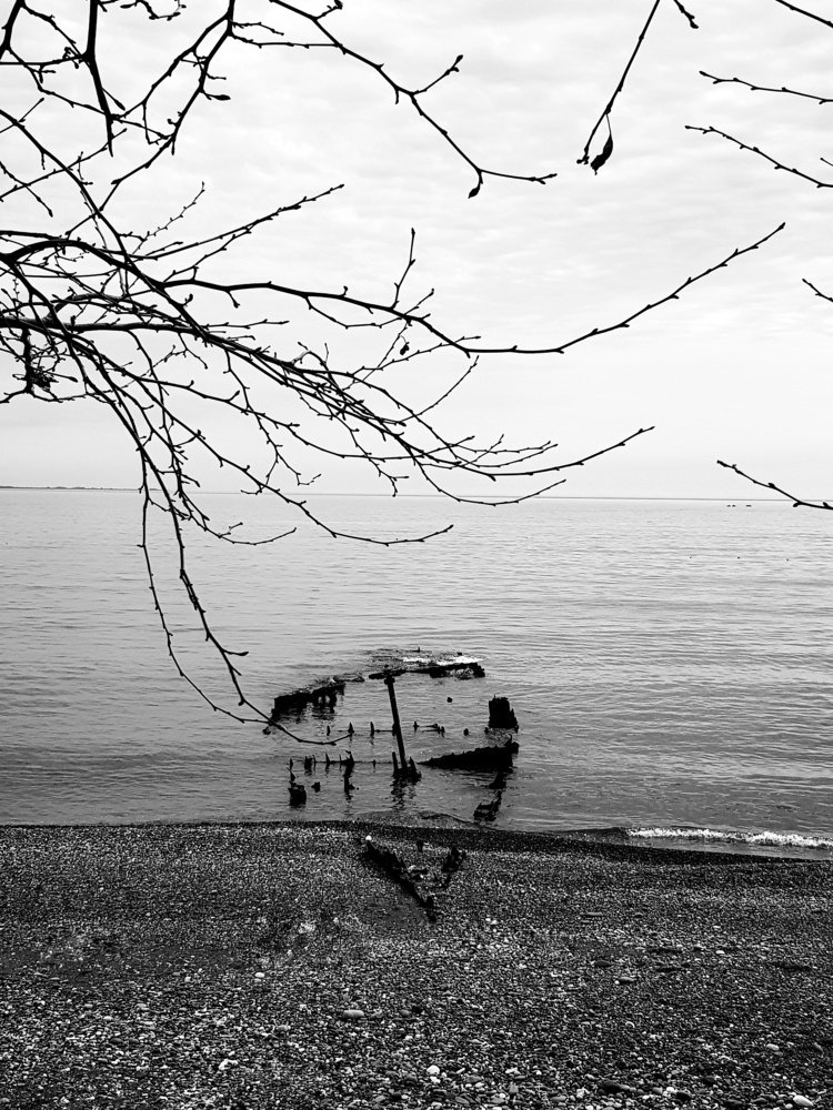 Photograph by Лана Агрба