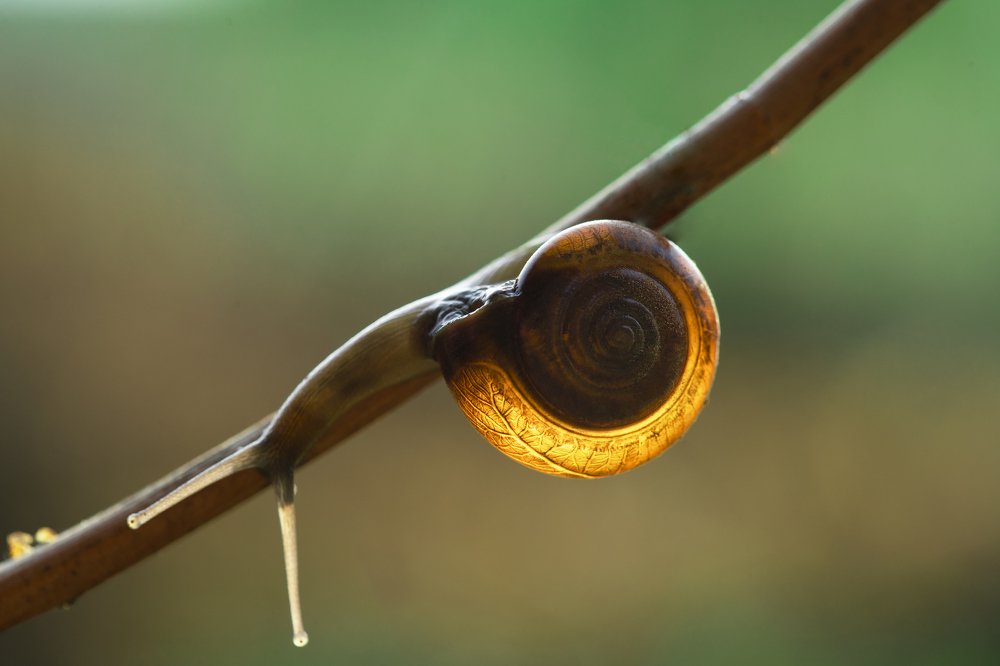 Photograph by Hemraj Chavhan A