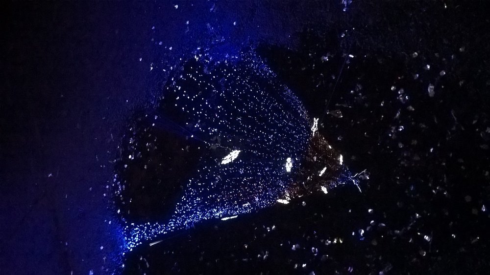 Photo #4157495