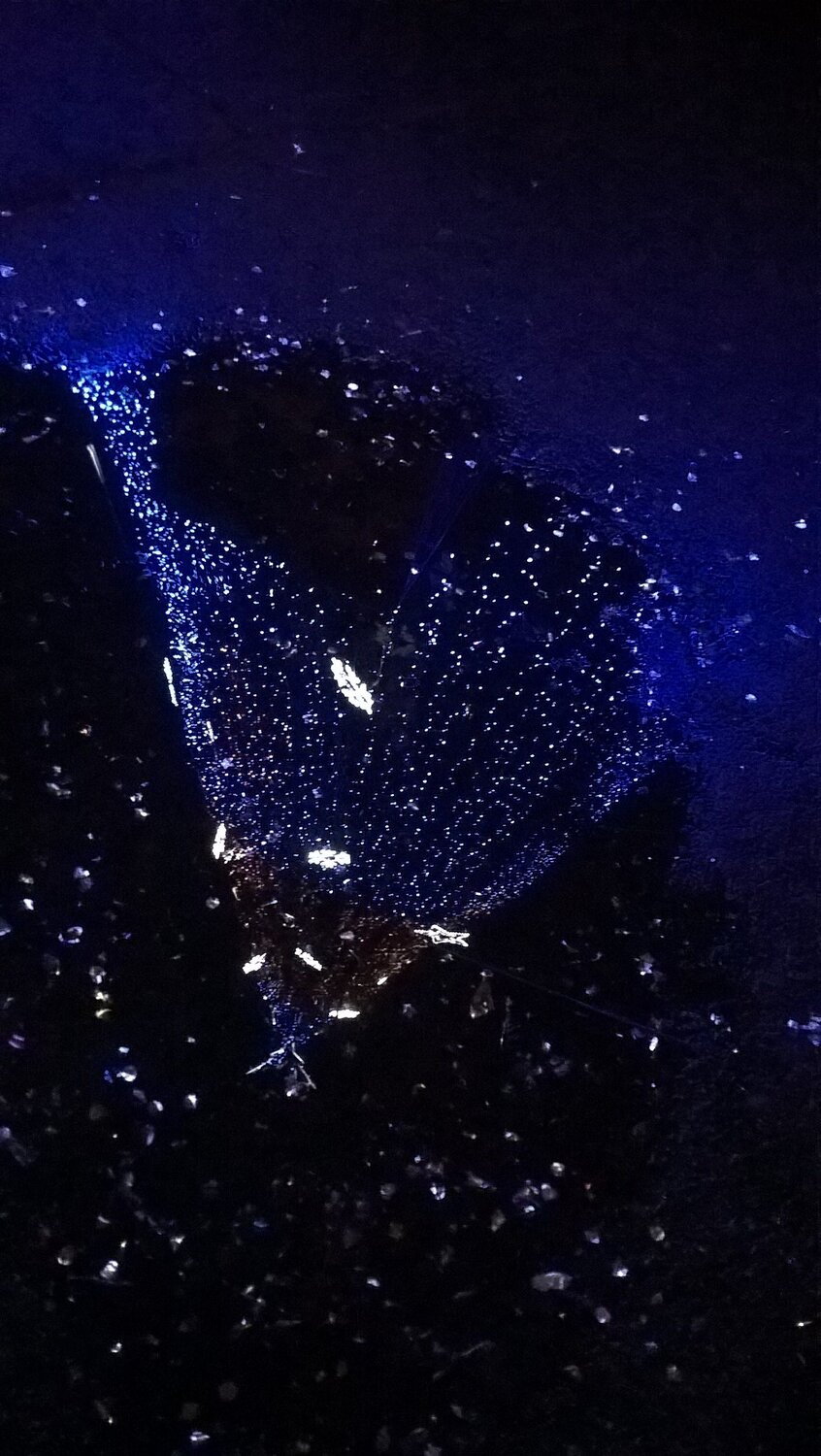 Photo #4157495