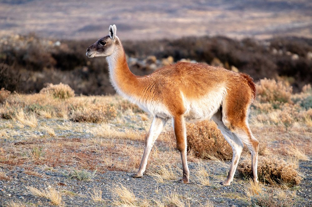 Photograph by Leonardo Carraro