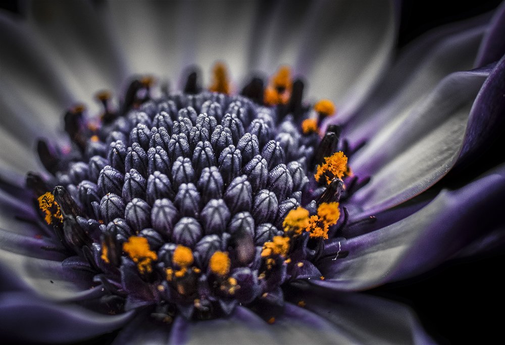 Photograph by Vlada Nesterova