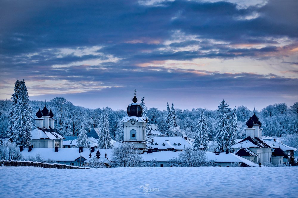 Photograph by Burlacu Lush