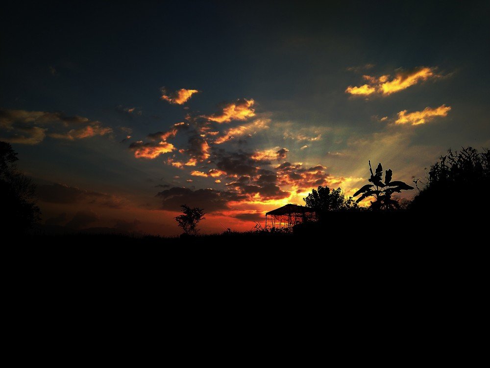 Photo #4157639