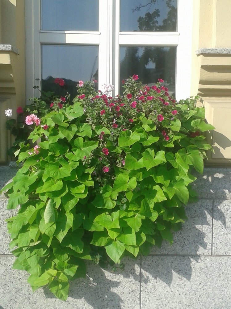 Photograph by Рутковская Жанна