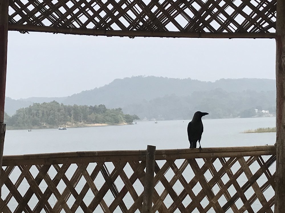 Photograph by Shahariar Shihab