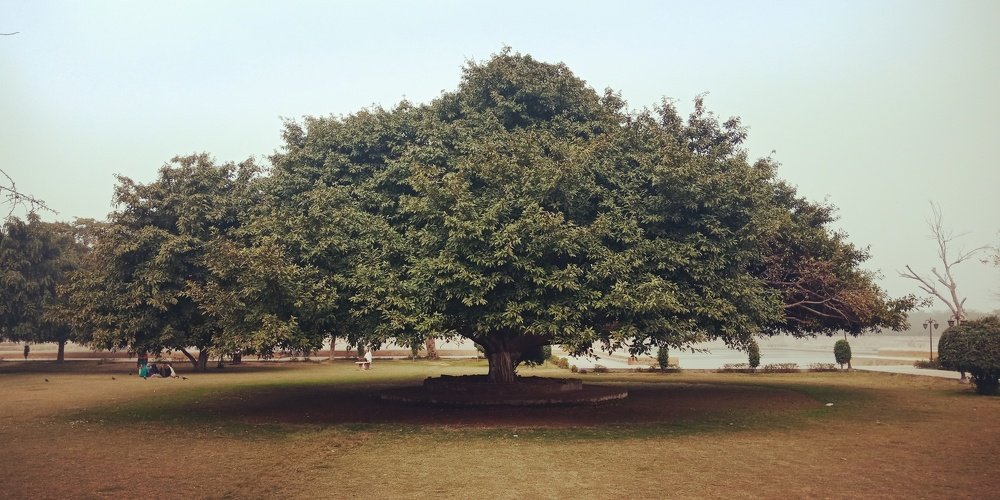 Photograph by Ejaz Kareem
