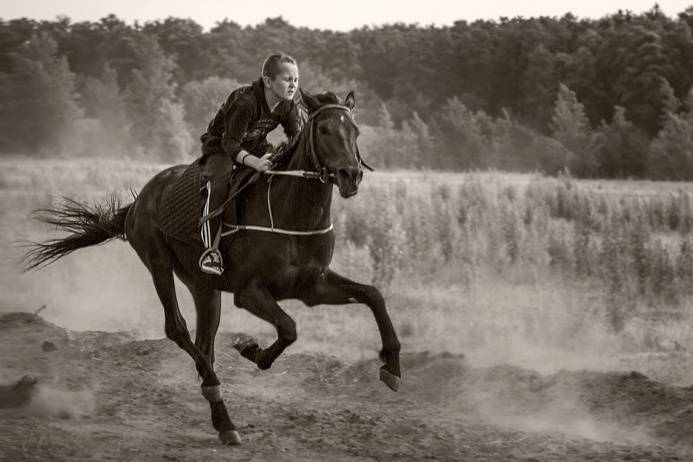 Photograph by Марат Кучкаев