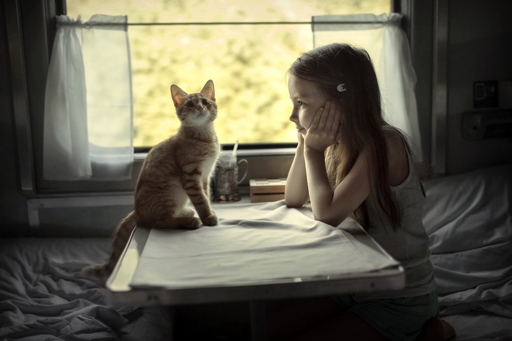 Ну что, поехали?)