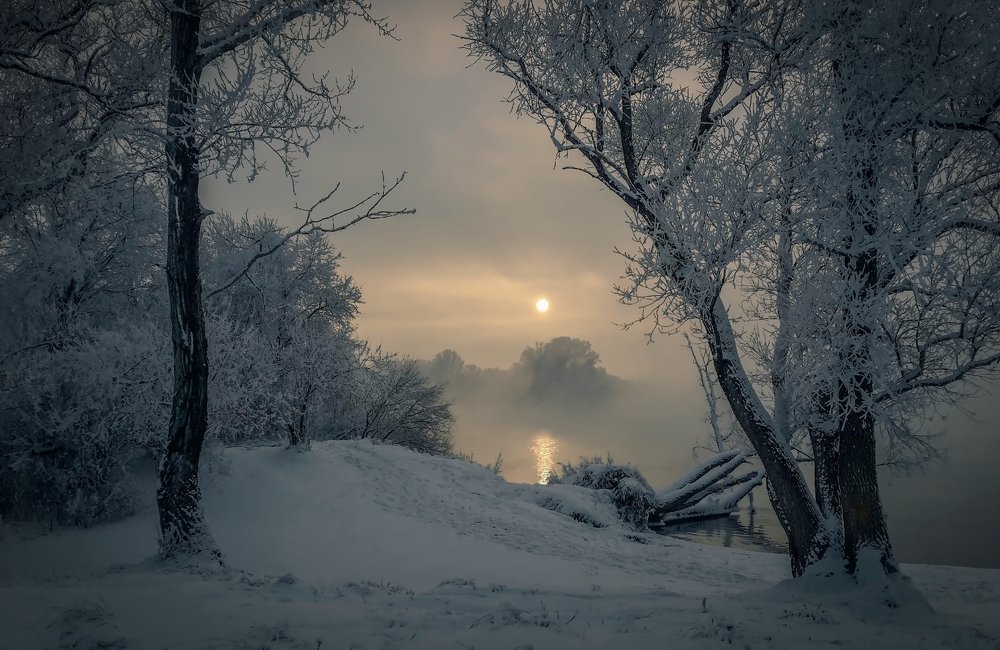 Photograph by Дмитрий Демидович