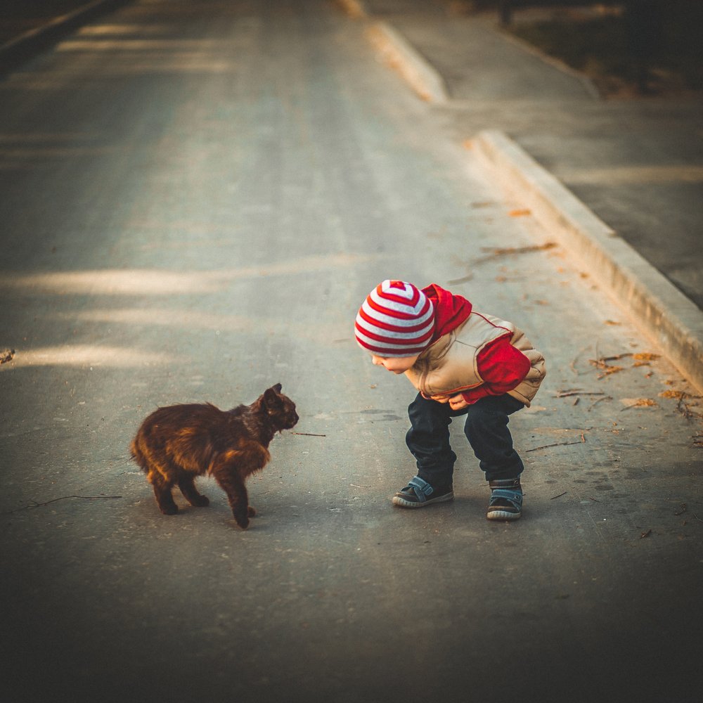 Разговоры о жизни