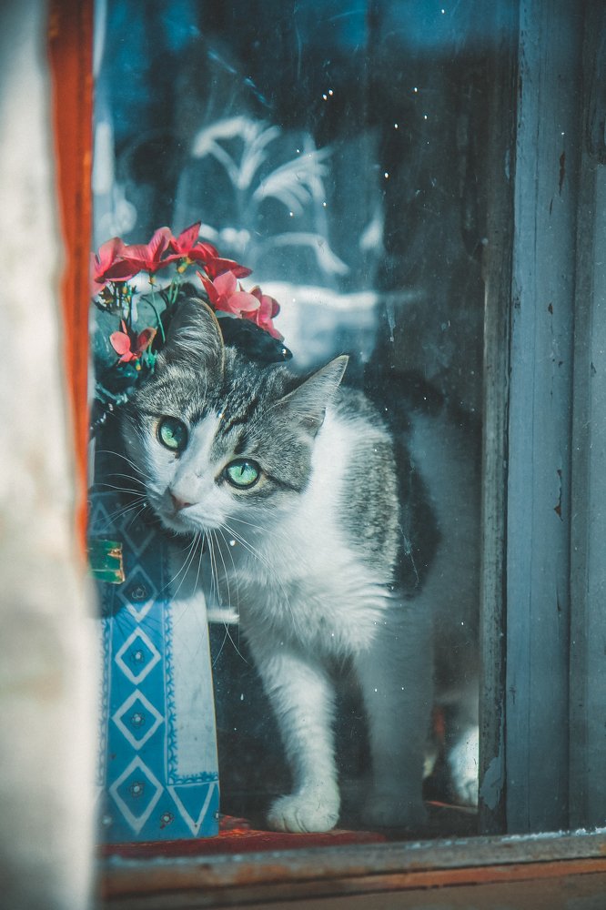 Привет! Я Васька