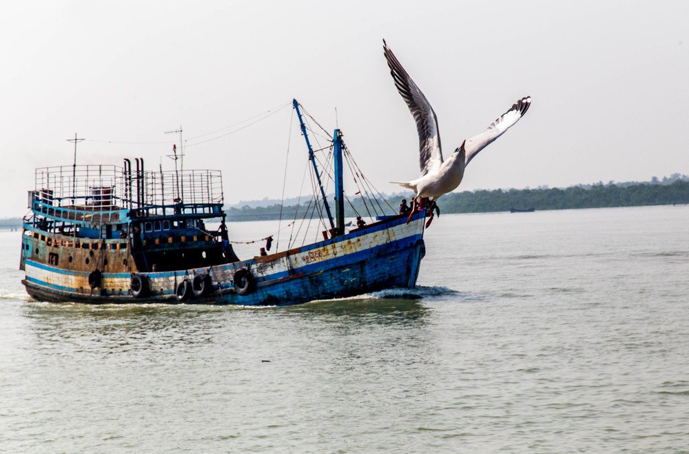 Photograph by Najmul Huda