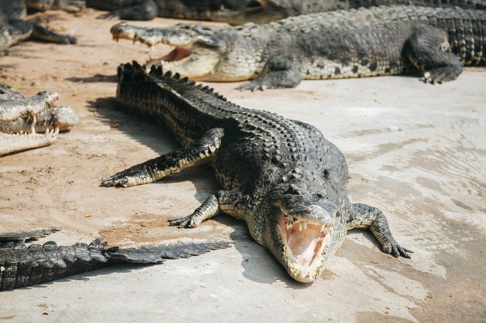 Photograph by Лобачев Юрий