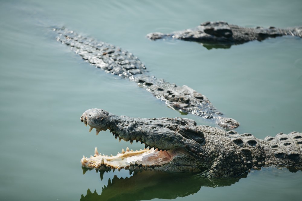 Photograph by Лобачев Юрий