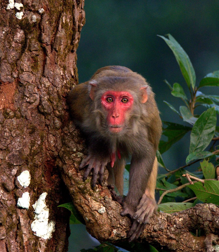 Photograph by Kushal Sharma