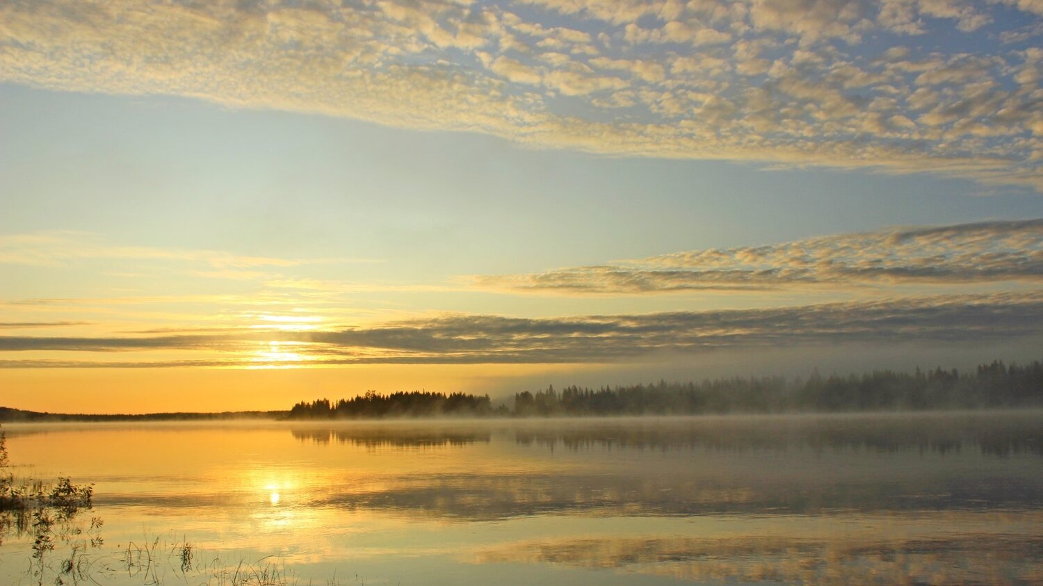 Photo #4158086