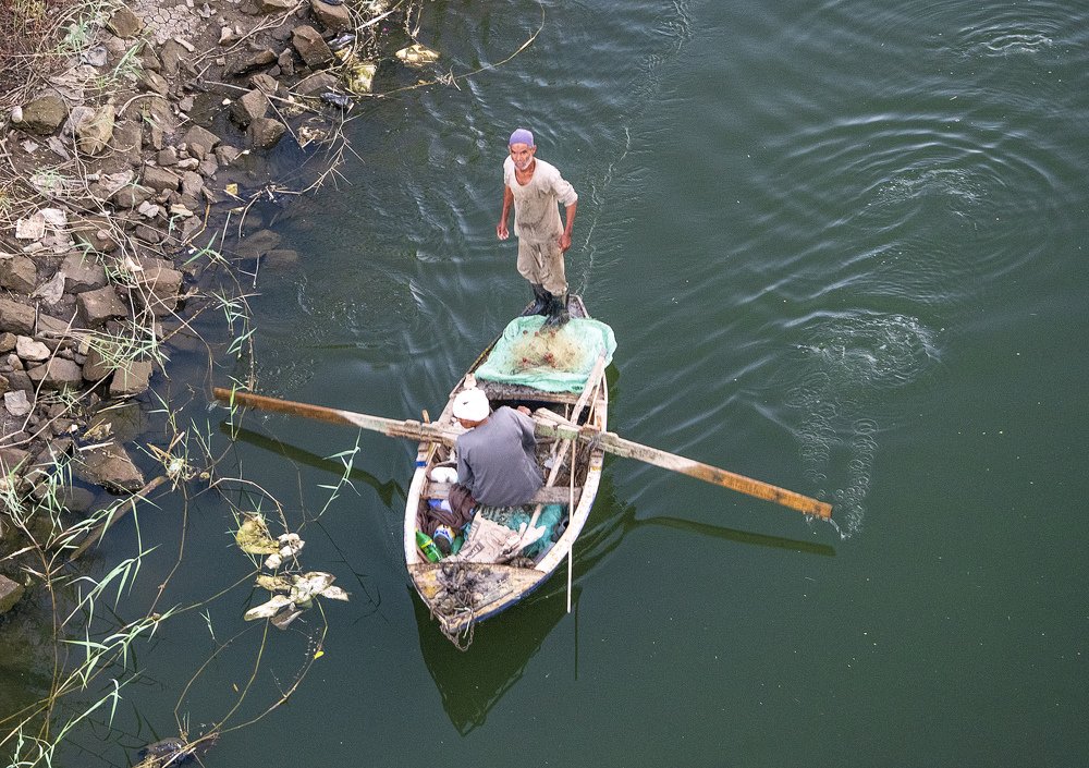 Фотография автора Sherine El Mously