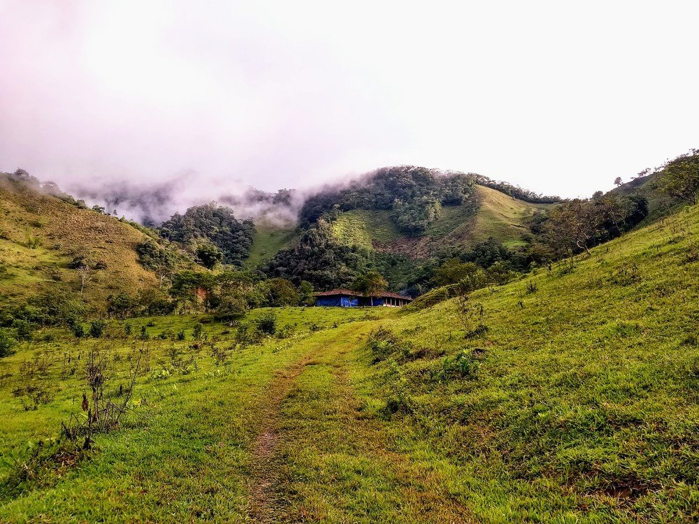 Photograph by María Viviana Borda C