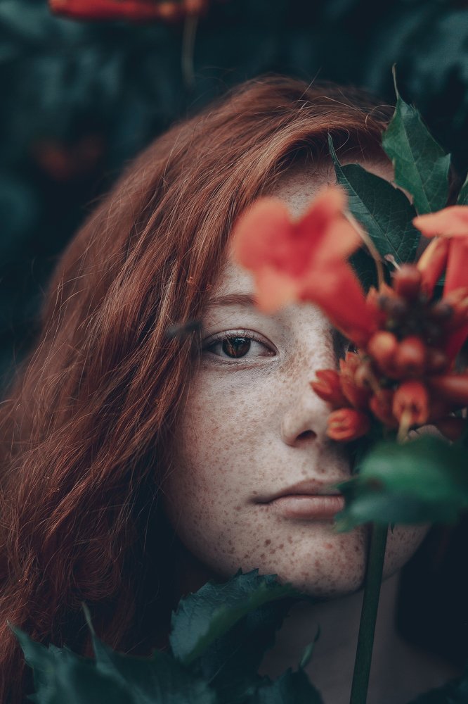 Photograph by 