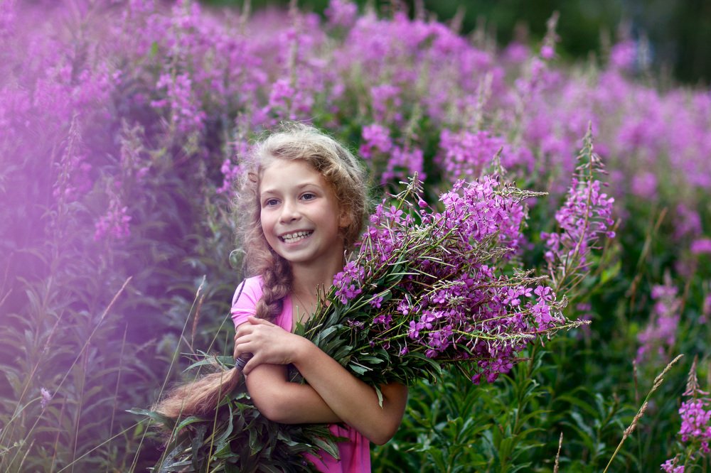 Розовая дымка