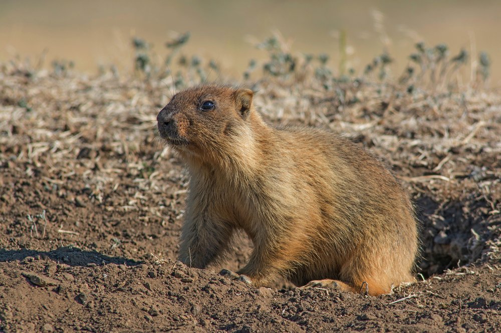 Пора бы подкрепиться