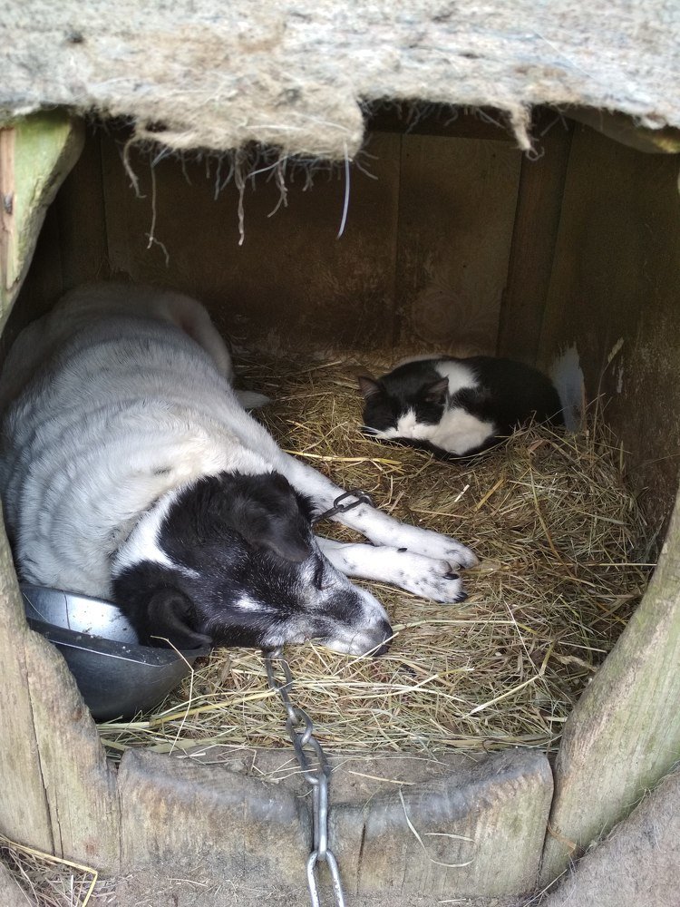 Photograph by Marina Afanaseva