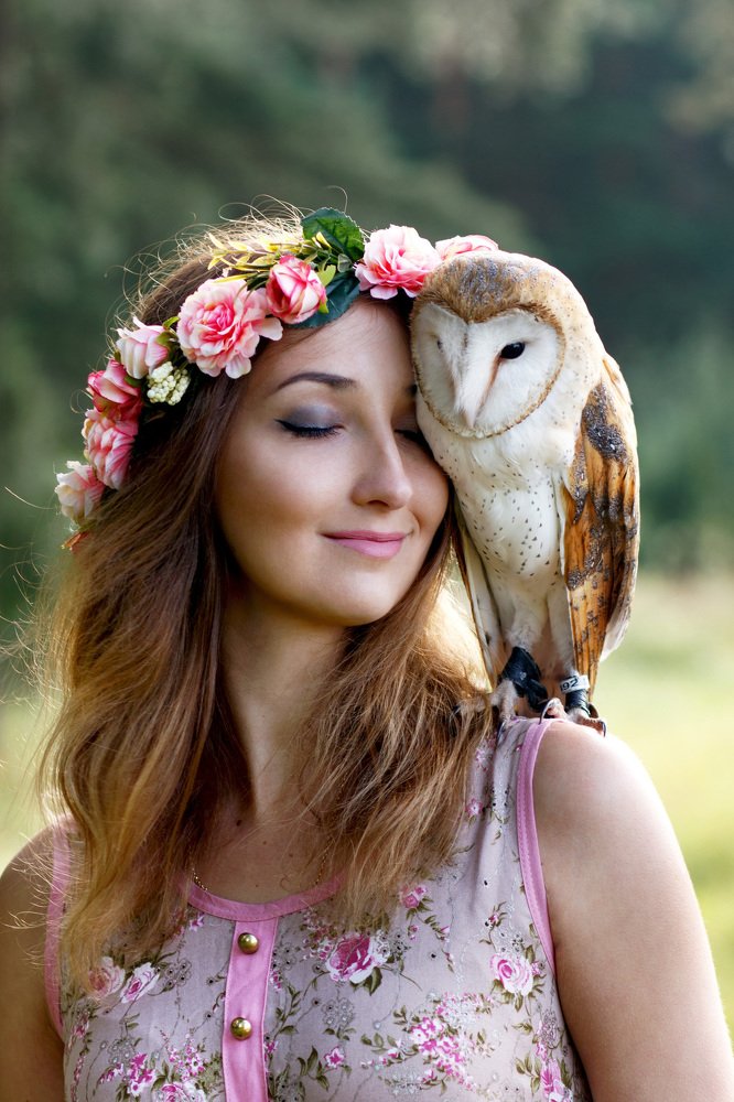 Лесная история