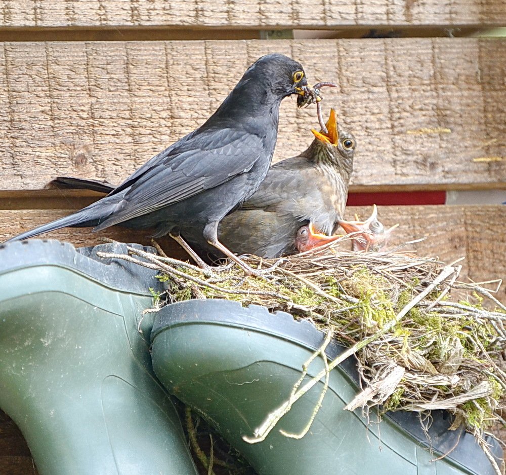 Photograph by Олег Сосницкий