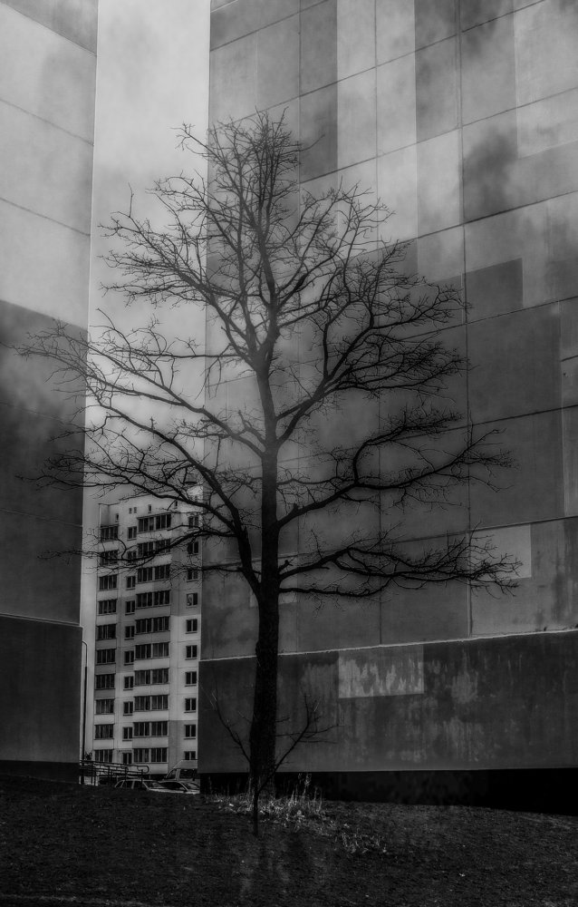 Photograph by Анна Свиридова