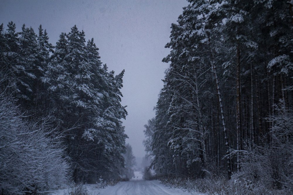 Photograph by Фёдор Бельских