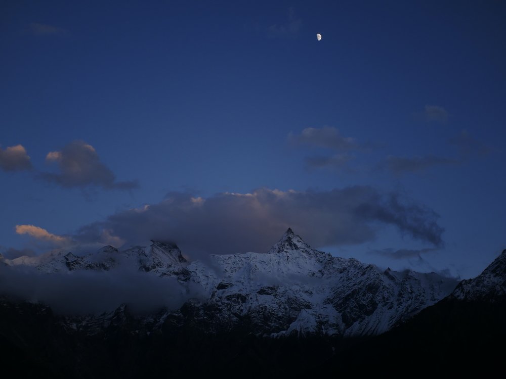 Photo #4158258
