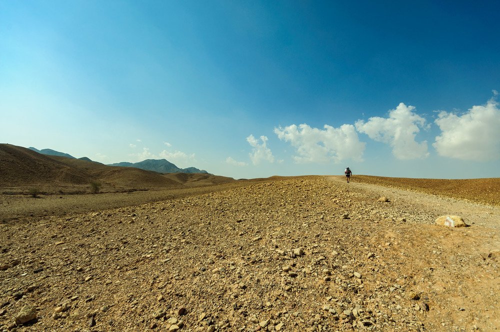 Путник в пустыне