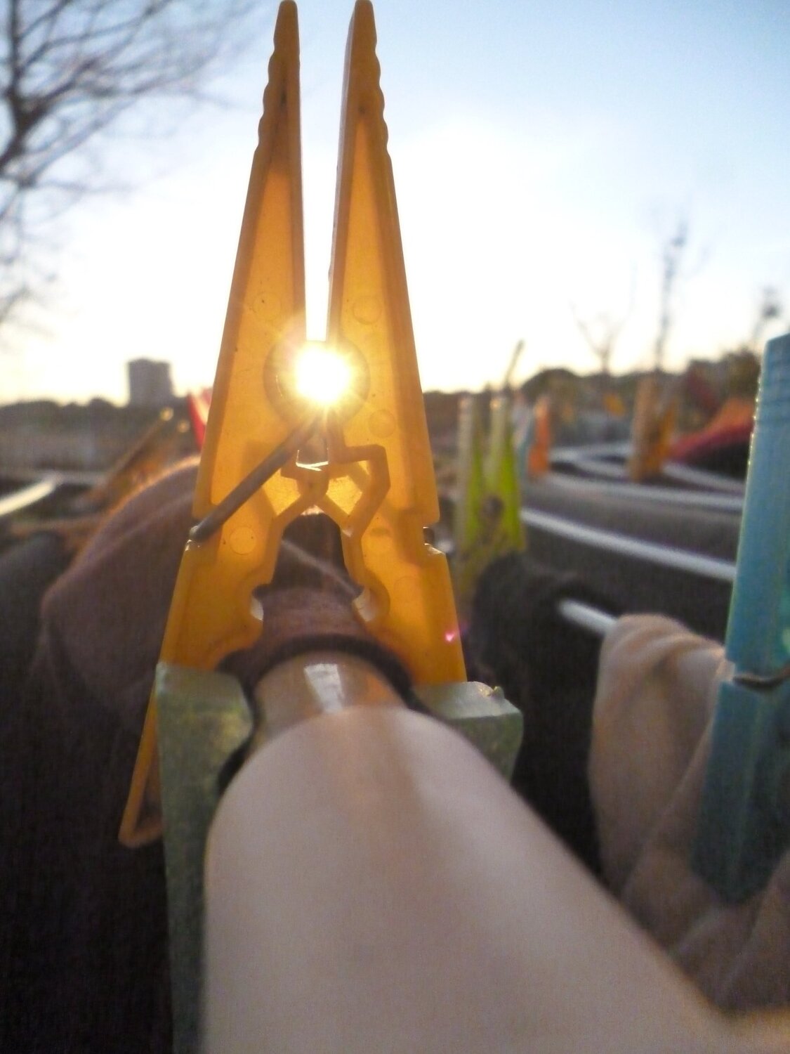 Photo #4158321