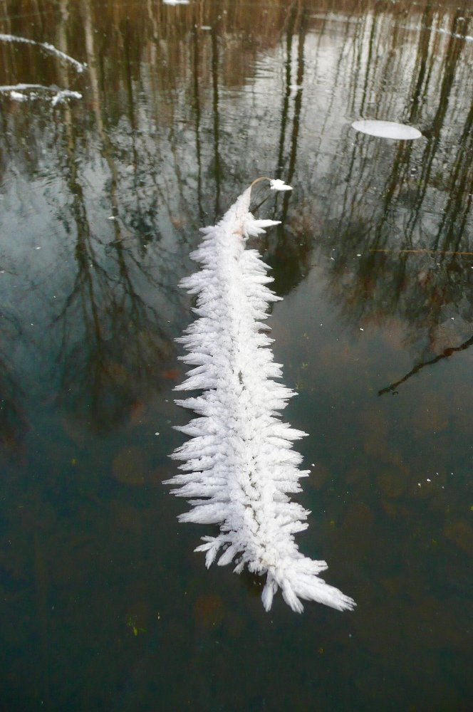 Волшебное перо Александра Сергеевича Пушкина...