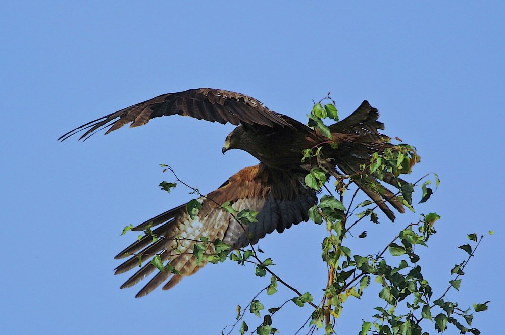 На страже порядка