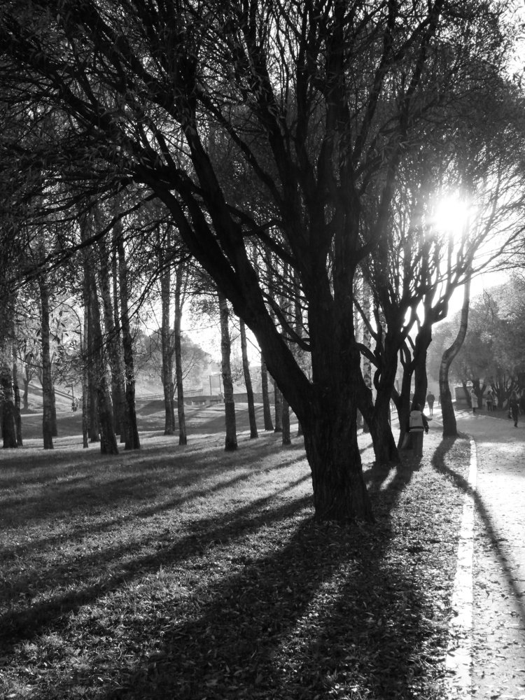 Photograph by Марина Игнатьева