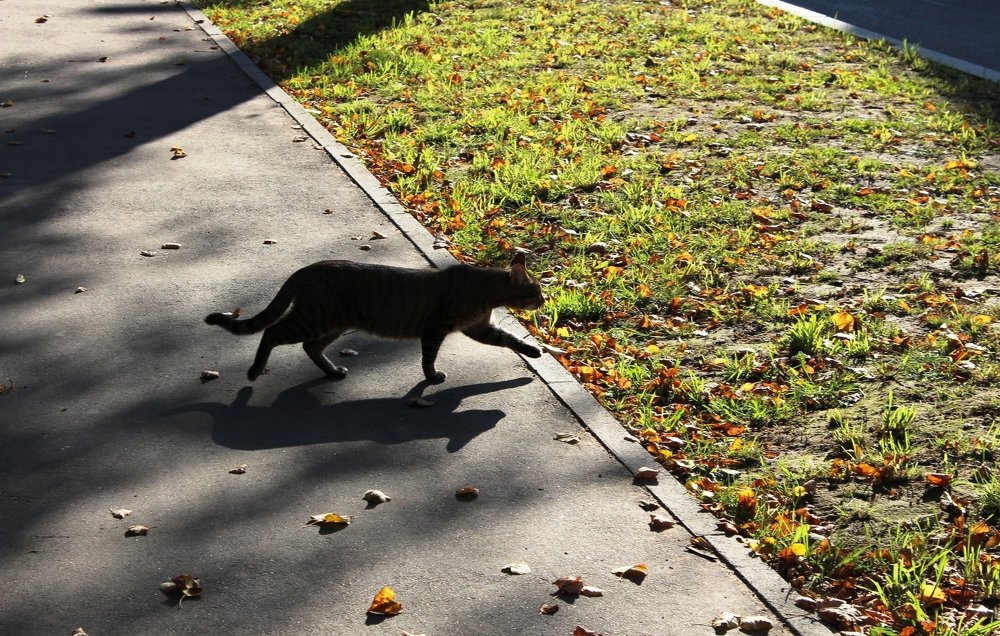 Photograph by Марина Игнатьева