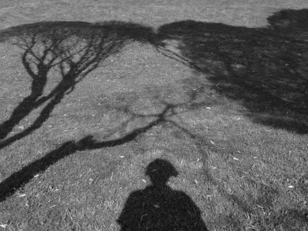 Photograph by Марина Игнатьева