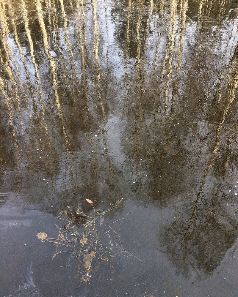 Photograph by Юлия Гусарова