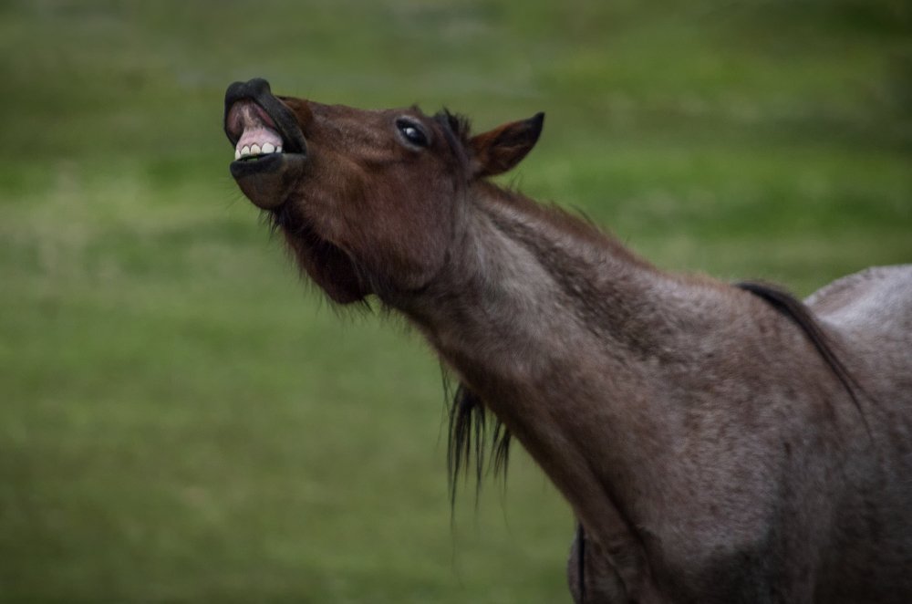 Photograph by Andrius La Rotta