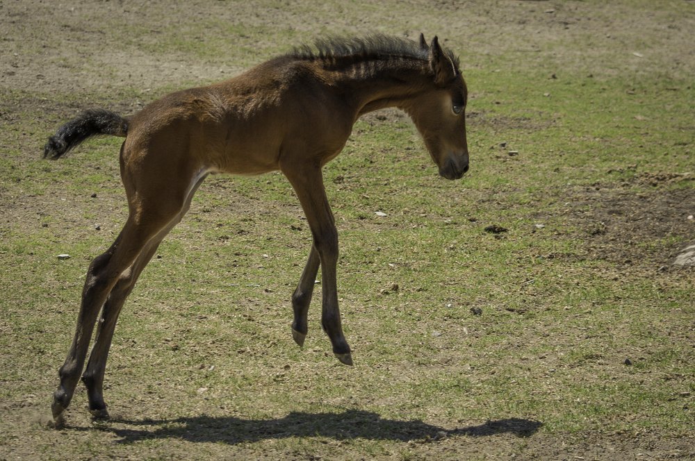 Photograph by Andrius La Rotta