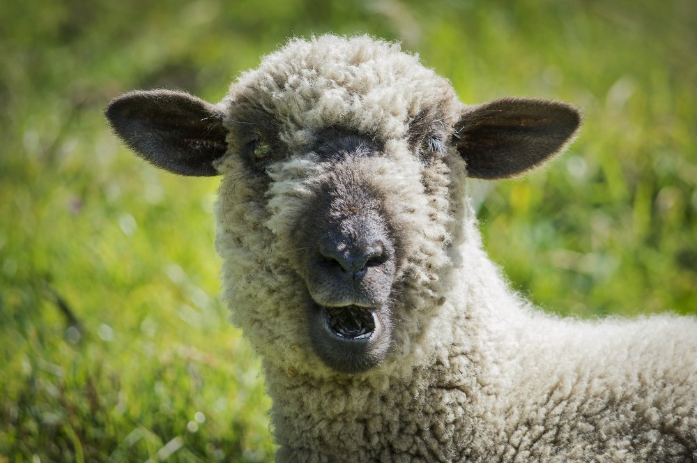 Photograph by Andrius La Rotta