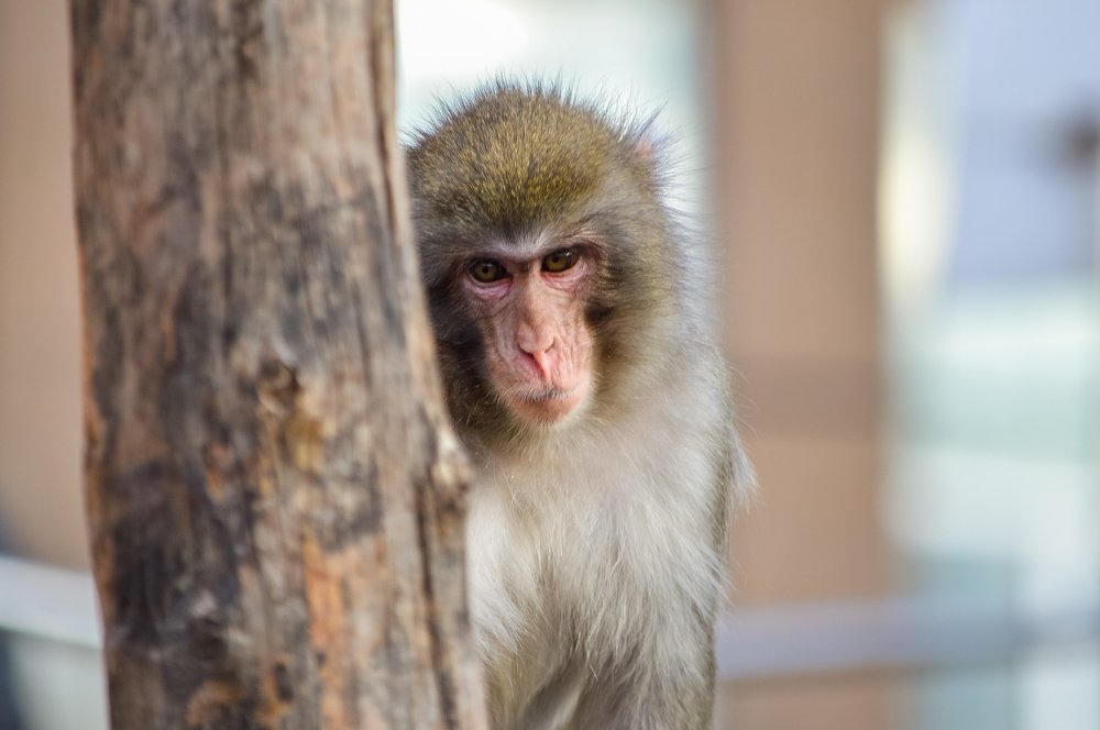 Photograph by Nadezhda Rav