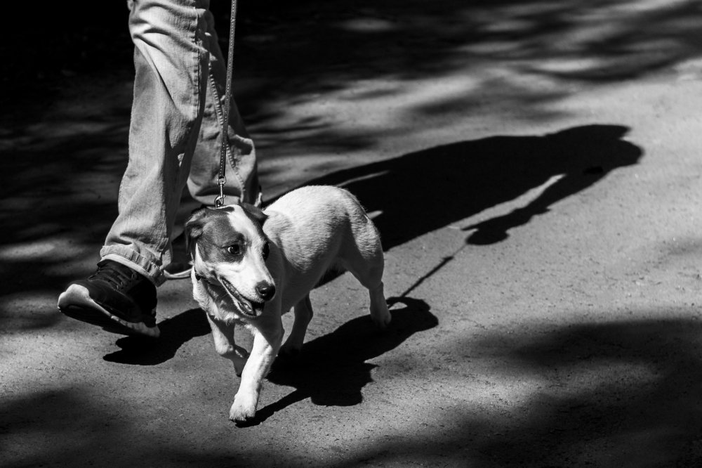 Photograph by Пётр Чебан