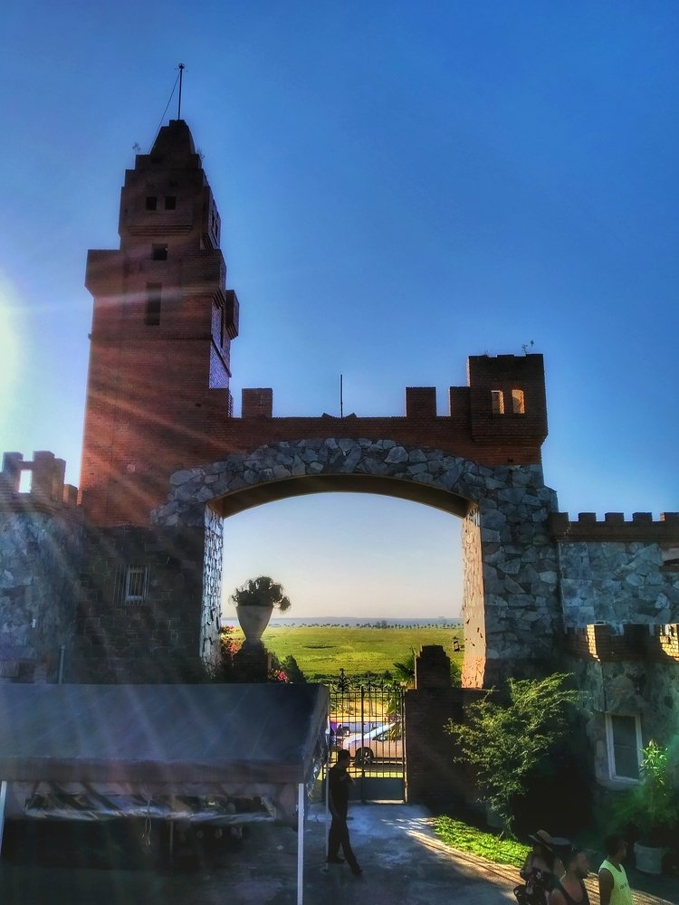 Photograph by Rosy Grass