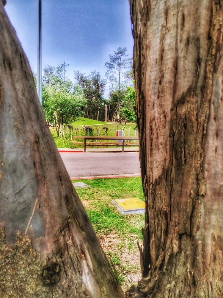 Photograph by Rosy Grass