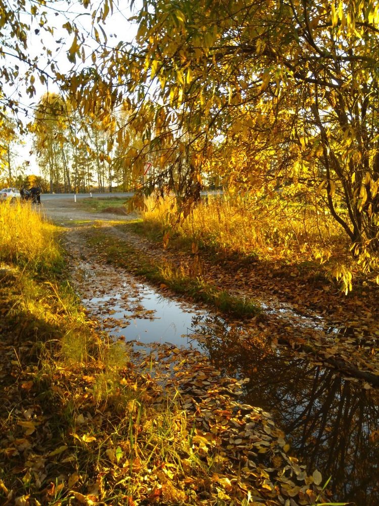 Photograph by Ирина Вассерлауф